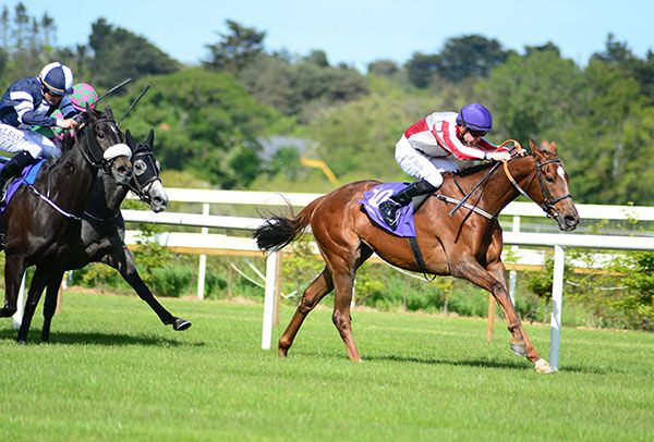 Bercasa with Leigh Roche in the saddle
