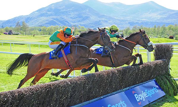 Victoria Bay (nearest) jumps the last upsides Mega Mindy