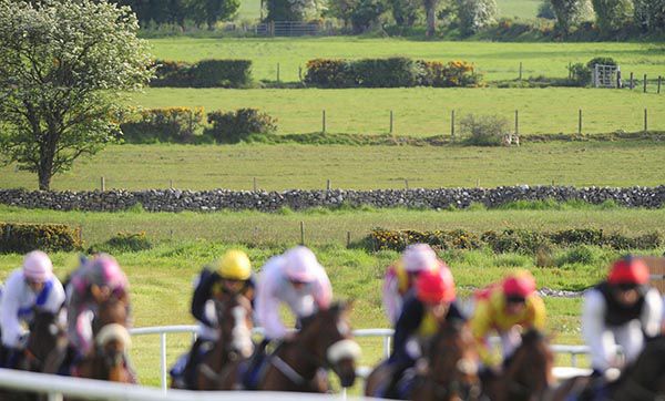 Action from Roscommon Racecourse