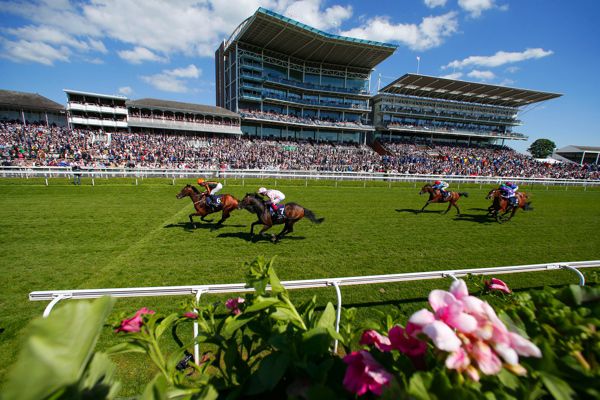 Telecaster beating Too Darn Hot in last year's Dante Stakes at York