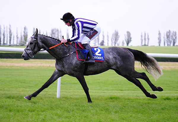 Bigbadandbeautiful comes home an easy winner under Jamie Codd