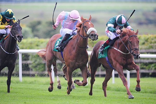 Double Martini (right) is ridden out by Colin Keane to beat Royal Court 
