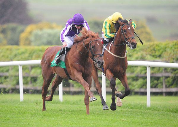 Western Australia (nearest) is ridden out by Donnacha O'Brien to beat Pythion 