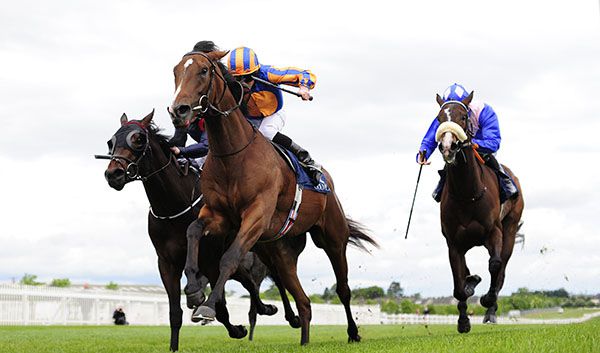 Pistoletto (centre) gets it done under Ryan Moore