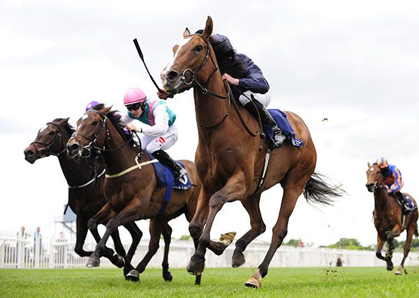 Etoile (nearside) wins under Seamie Heffernan