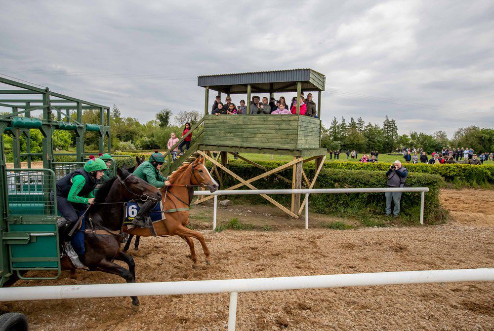 Starting stalls training at Dot Love's open day