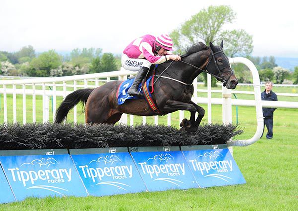 Dolly Dancer and Brian Hayes 