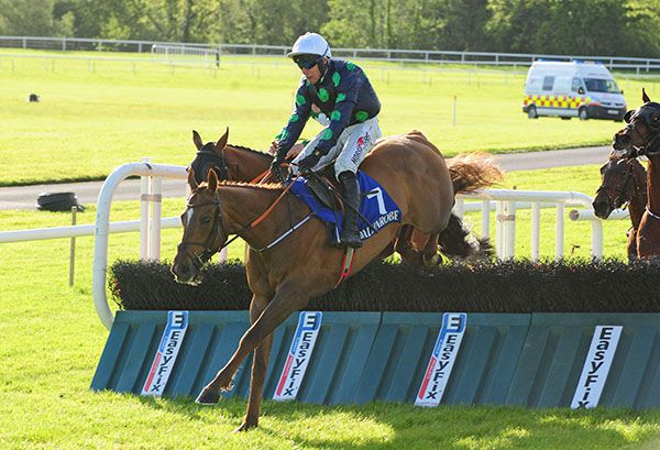 Zoffalee pictured on this way to victory under Robbie Power