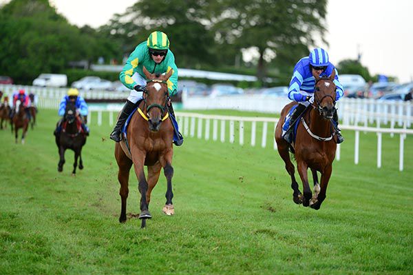 Miss Cognac (left) is pushed out by Mark O'Hare to beat Skyace