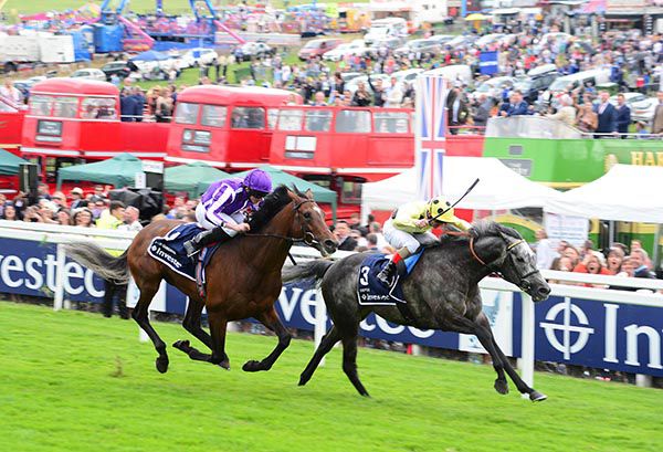 Defoe pictured on his way to victory in the Coronation Cup last year 