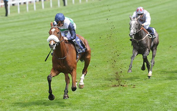 Le Don De Vie seen here winning under Martin Dwyer at Epsom
