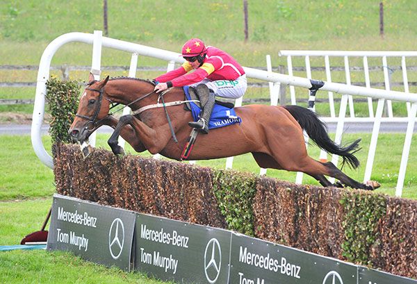 Contingency flies over the last under Paul Townend