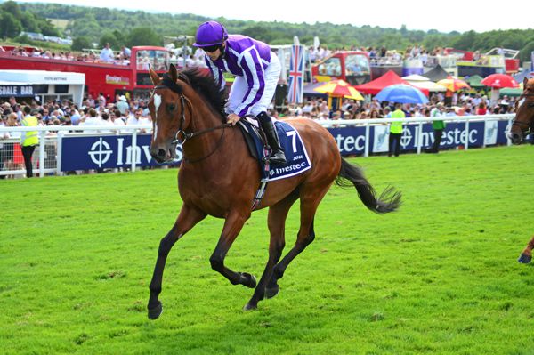 Japan - finished 8th in the Japan Cup for Aidan O'Brien and Yutaka Take
