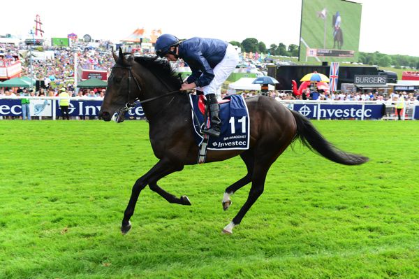 Epsom Derby fifth Sir Dragonet begins his four-year-old campaign in the Devoy Stakes at Naas