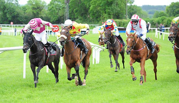 Beat Of The Sea (noseband) comes through to head Dolly Dancer (inside)