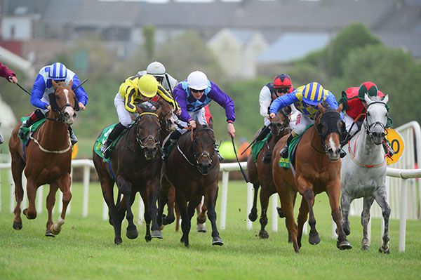 On A Session (yellow colours) stays on best to collar Sors (blinkers)