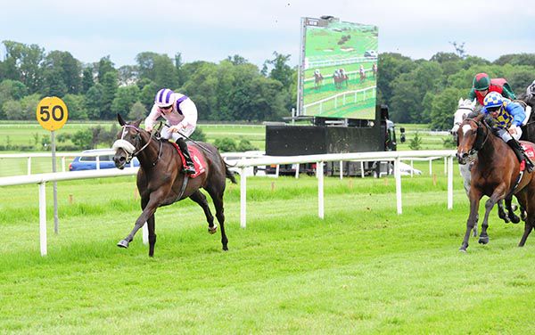 Black Magic Woman leads home her rivals under Gary Halpin