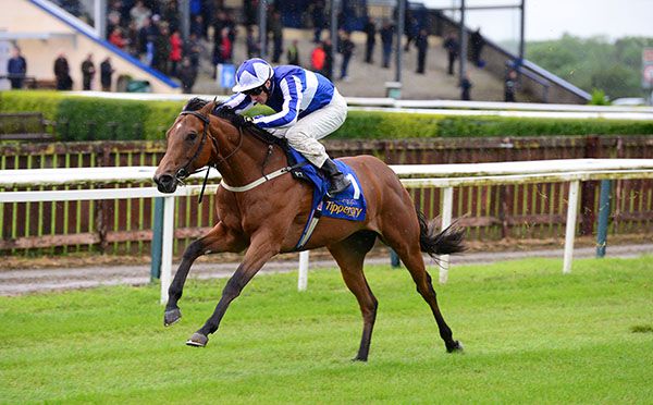 Sunday Sovereign impresses in Tipperary
