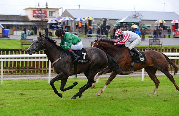 Dash D'or approaches the winning post