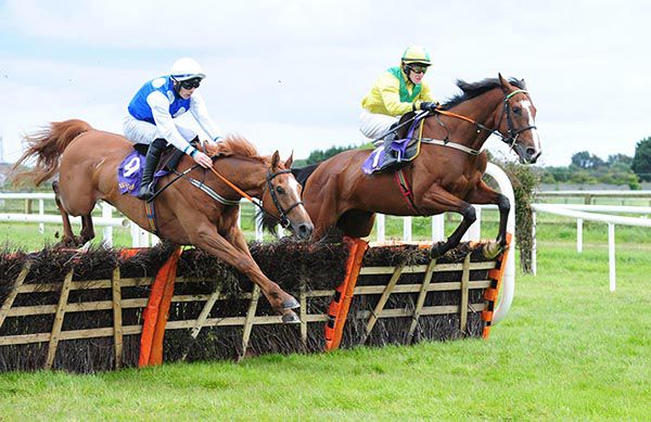 The Rubinator (far side) and Institution