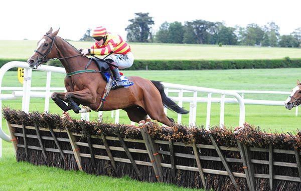 Celebrity Status jumps the last under Ricky Doyle