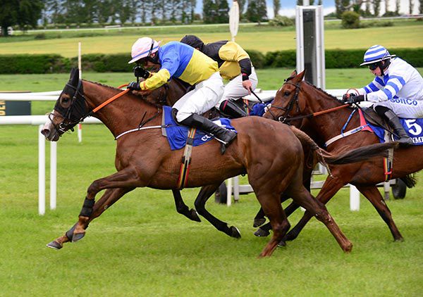 Aunty Audrey (nearest) gets up close home under David Kiely