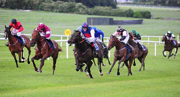 Domitian (maroon and white) battles out the finish with Hophornbeam (navy & red)
