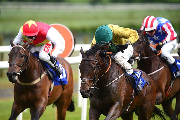 Piper Bomb (right) is ridden out by Tom Madden to beat Harry Speed