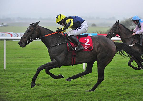 Gun Merchant and Lisa O'Neill win the nightcap  