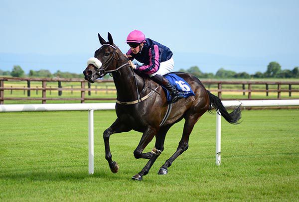 Independent Missy and Ross Coakley win for trainer Tracey Collins