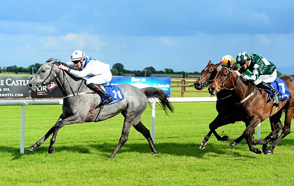 She's My Dream wins under Ross Coakley