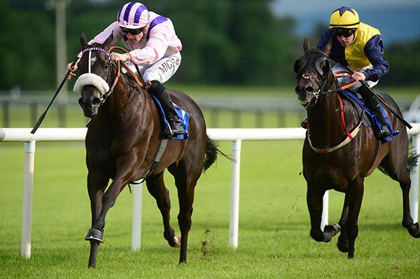 Black Magic Woman (Gary Halpin) beating Nebo