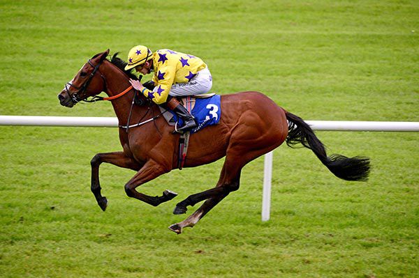 Jake Peter strides clear for Ben Coen