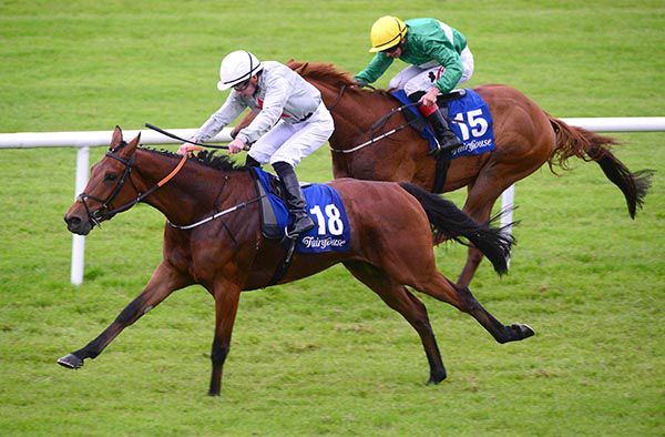 Swelltime (Adam Farragher) beats Pearl Warrior (Conor Hoban)