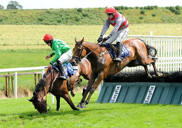 Basil's Boy clears the last as Musical Ava crashes out