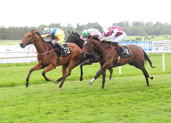 Olympic Honour holds off Engles Rock