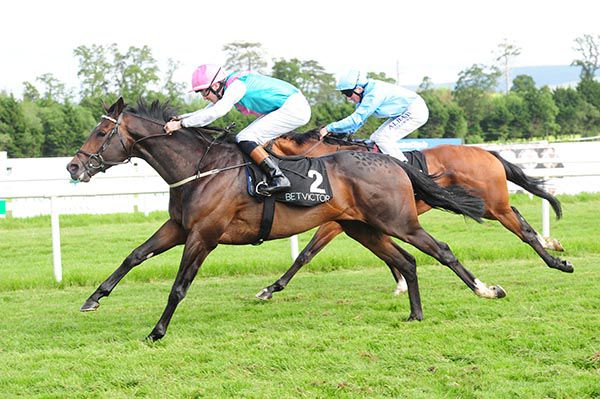 BROAD STREET (left) beating Wargrave at Gowran Park.