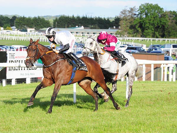 Ming Dynasty winning at Kilbeggan