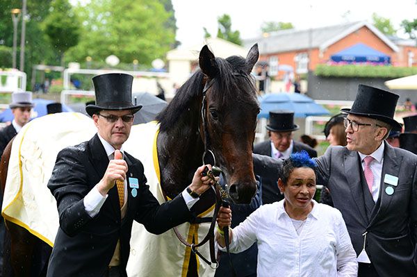Aidan O'Brien gives the thumps up after Arizona's win in the Coventry Stakes