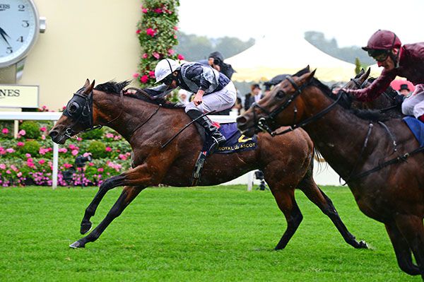Circus Maximus approaches the line