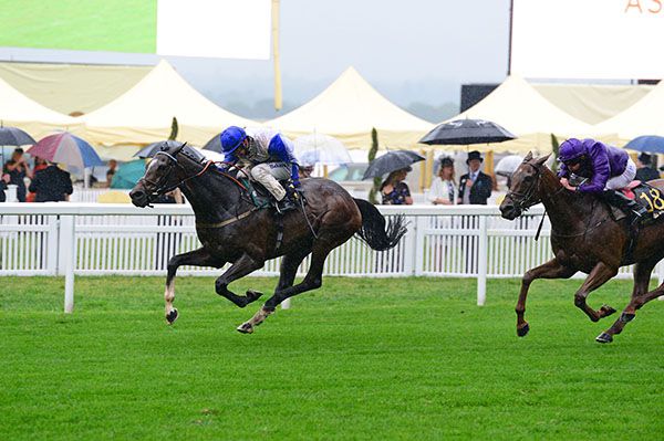 Richard Kingscote drives The Grand Visir home
