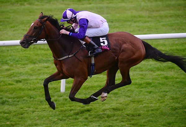 Hayyel wins under Oisin Orr