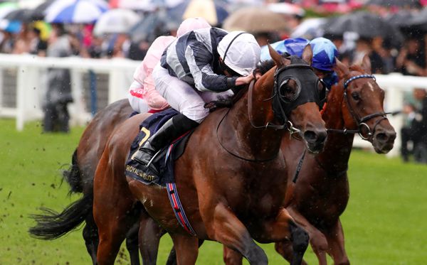 CIRCUS MAXIMUS (near side) seen winning at Ascot, has been supplemented for the Qatar Sussex Stakes at Goodwood