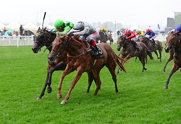 Kimari (partly hidden) is beaten a head by Raffle Prize in the Queen Mary at Royal Ascot last year