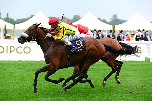 Move Swifty wins under Danny Tudhope