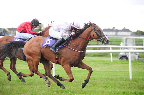 Cabin Hill (Tom Reilly) beats Robaddan (Declan Queally)