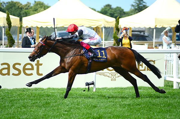 Star Catcher and Frankie Dettori pictured on their way to victory