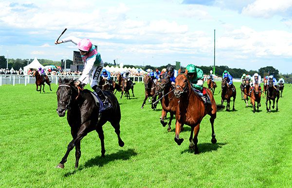 Biometric is ridden out by Harry Bentley to deny Turgenev and Frankie Dettori
