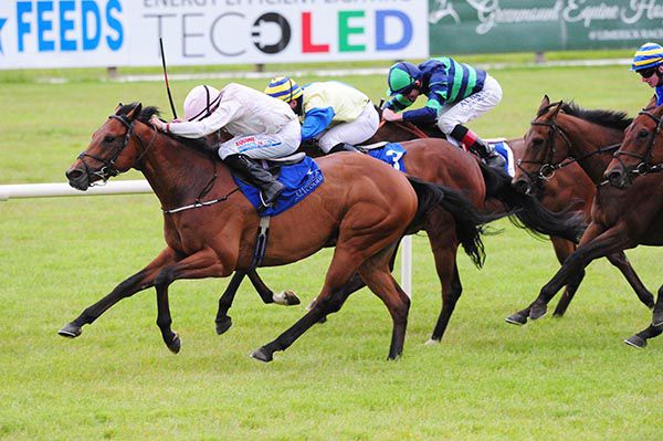Tintoretto wins under Niall McCullagh at Limerick