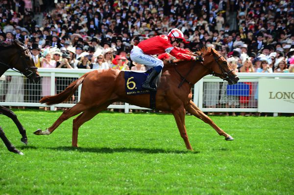 Daahyeh (David Egan) winning the Albany Stakes at Royal Ascot